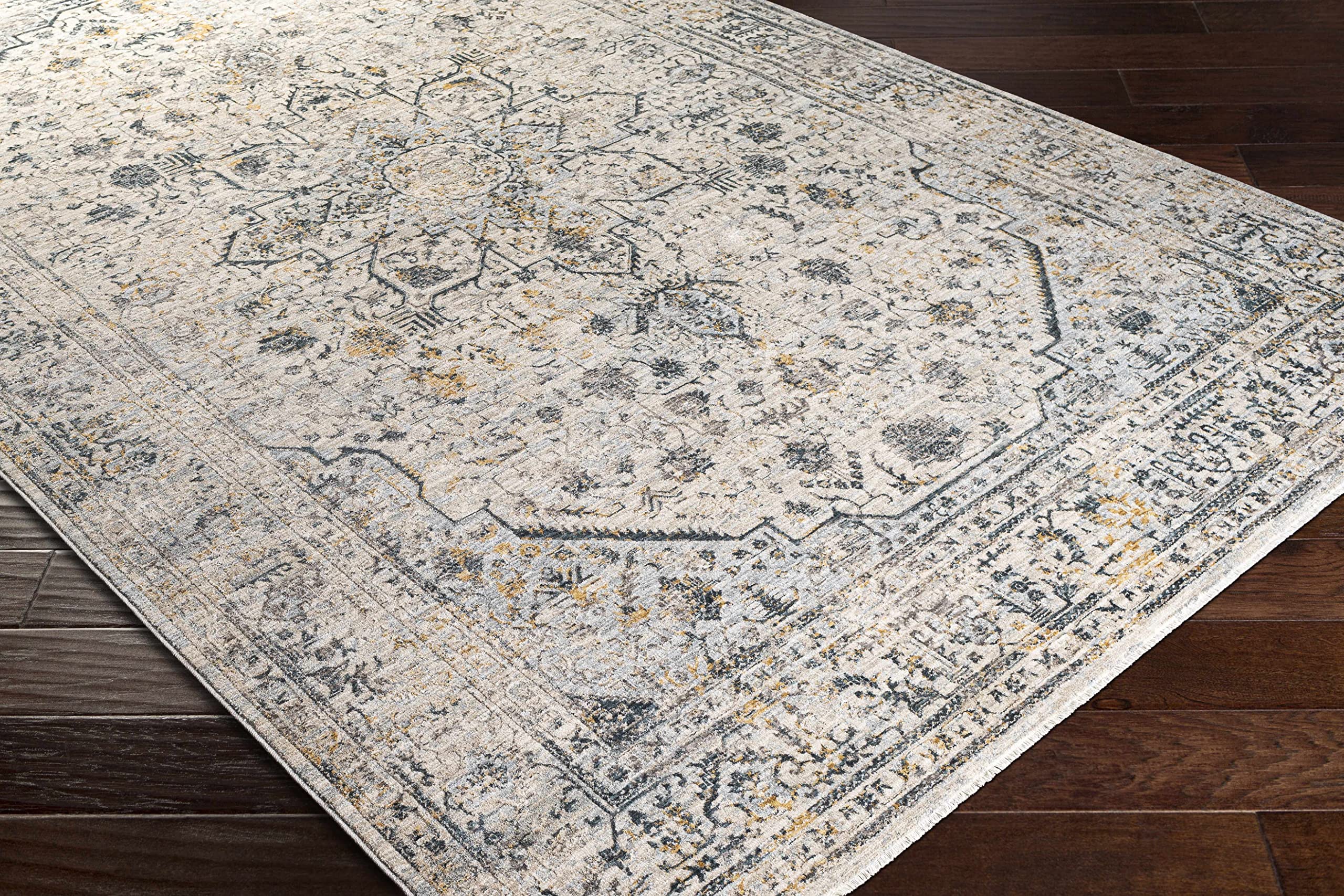 Hauteloom Anmoore Soft Area Rug for Living Room & Bedroom - 5'3