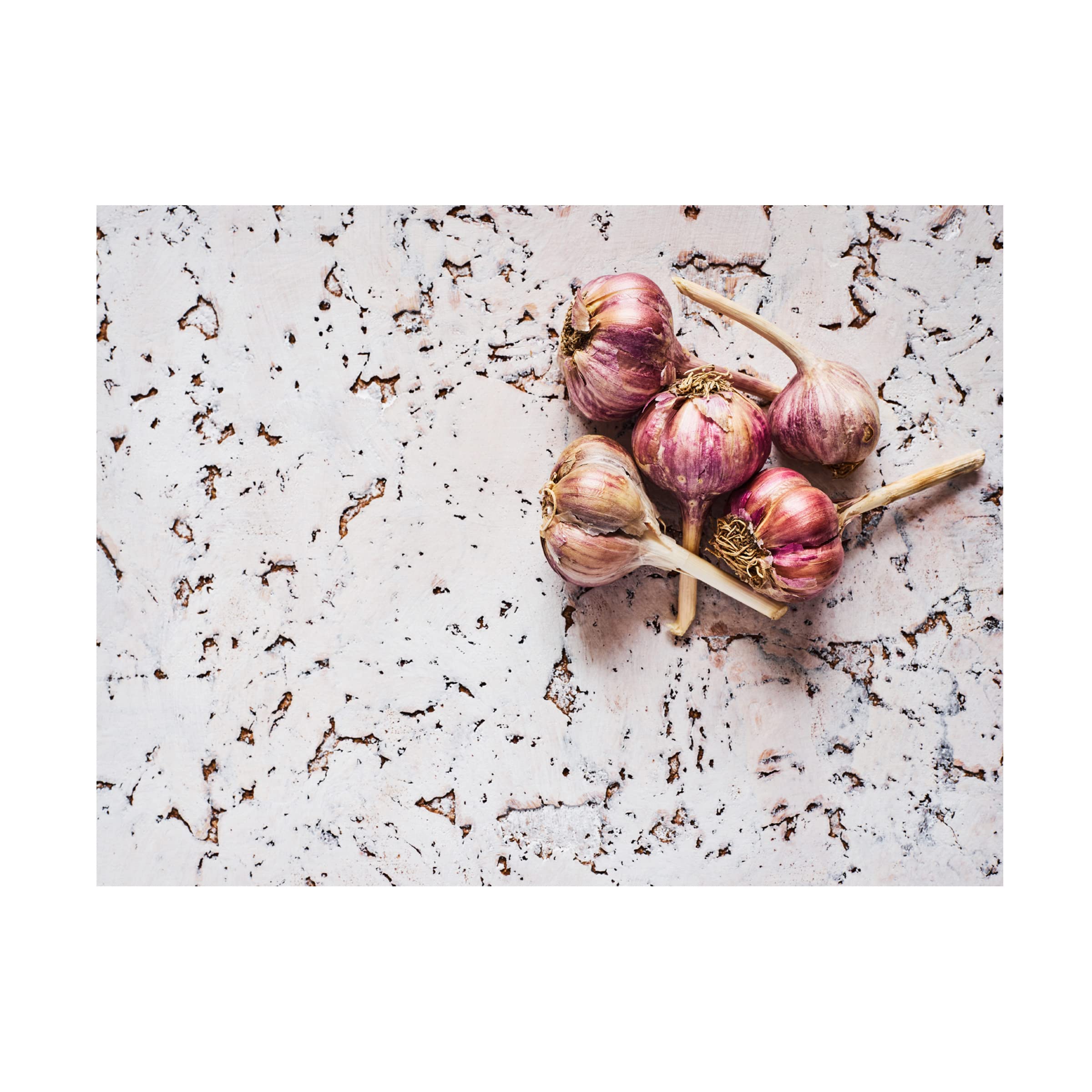Healthy Garlic Canvas Art Print by Aleksandrova Karina - Modern Kitchen Wall Decor for Home & Restaurant - Perfect for Farmhouse, Italian & Mediterranean Style Dining Rooms
