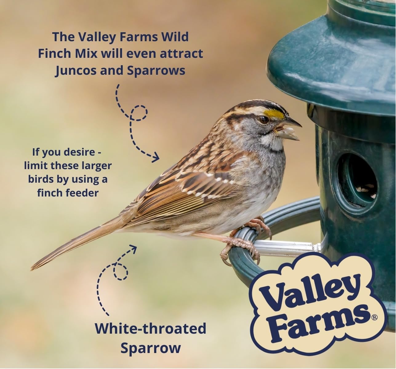 Premium Wild Finch Seed Mix - 4 LBS Nutritious Bird Food with Millet & Sunflower Hearts for Outdoor Feeders | Attracts Finches & Wild Birds | Perfect for Backyard Birdwatching & Garden Feeders