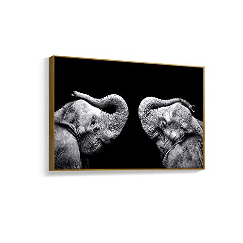 Blackanimal-h04