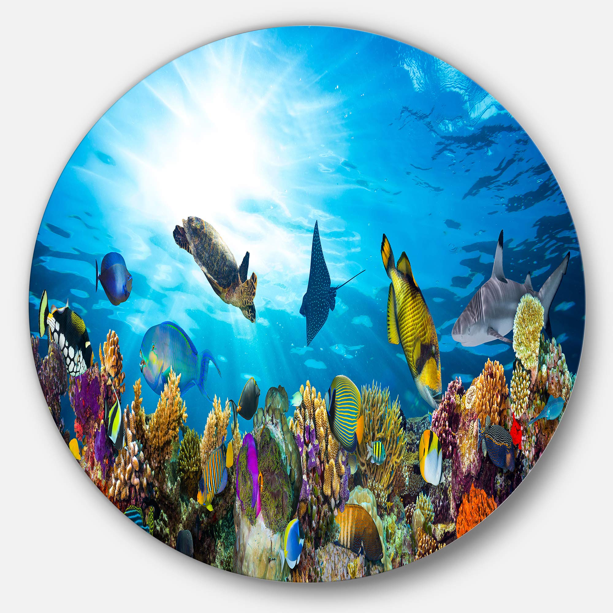 DesignArt Round Metal Wall Art - Colorful Coral Reef with Fishes, Ocean-Themed Disc Seascape Decor for Living Room, Bedroom & Office | Durable Indoor Metal Wall Sculpture