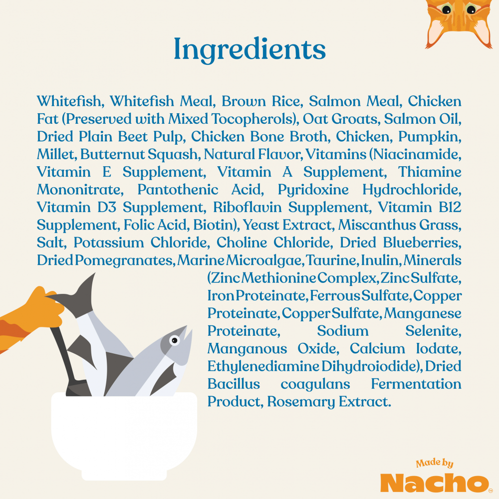 Made By Nacho Skin & Coat Support Dog Food - Sustainably Caught Whitefish & Pumpkin Recipe for Healthy Skin & Shiny Coat | Perfect for Adult Dogs with Sensitive Skin & Allergies