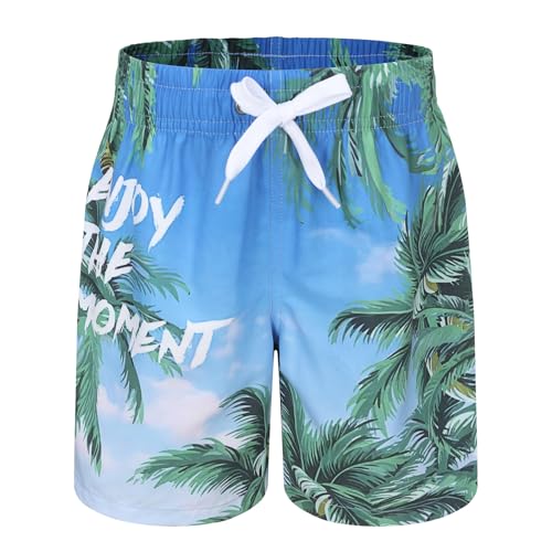 Blue Sky Palm 05