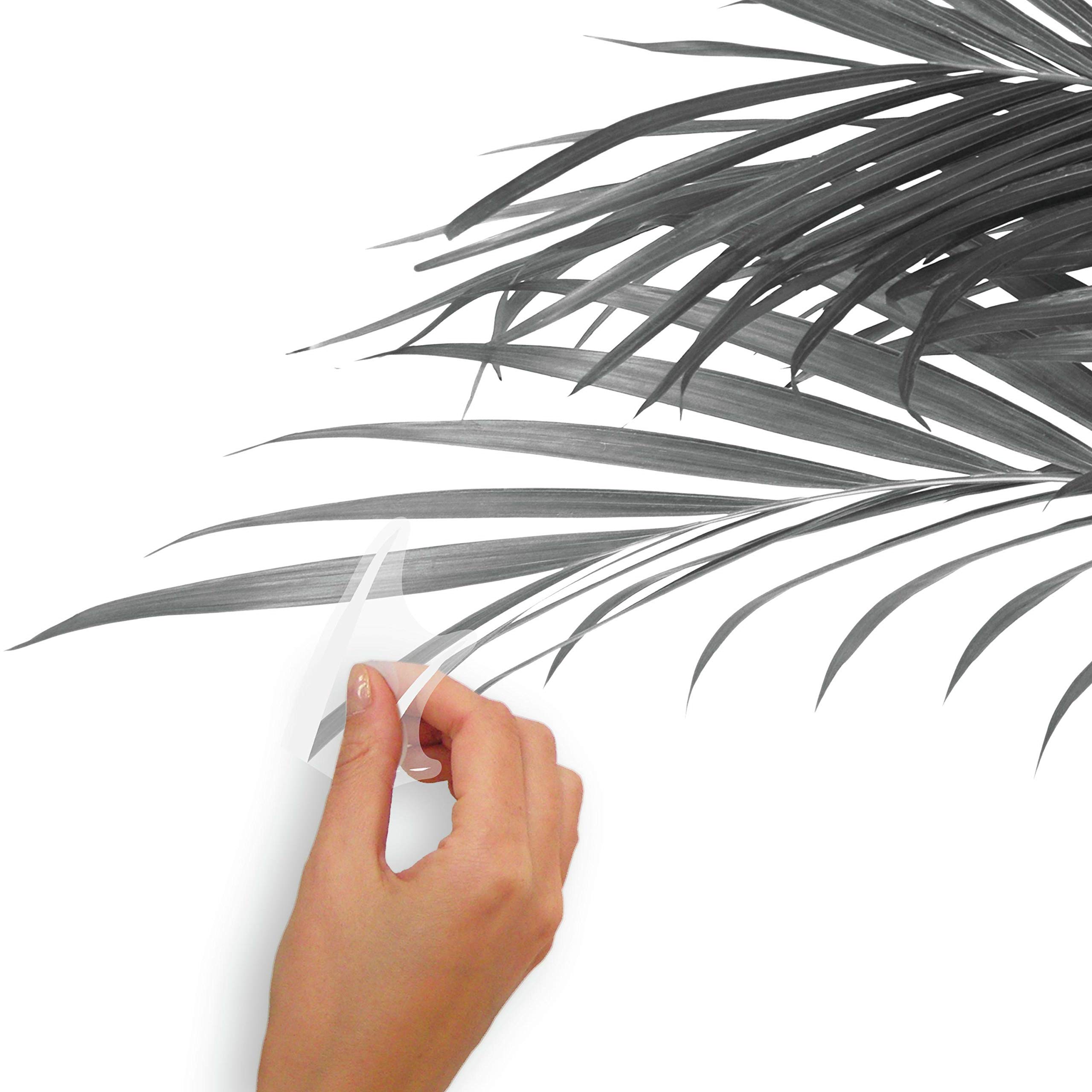 RoomMates RMK4713GM Black & White Palm Tree Peel & Stick Wall Decals - Easy DIY Wall Decor for Bedroom, Nursery, Living Room & Office