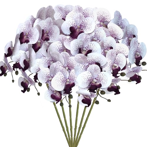 Purple Core