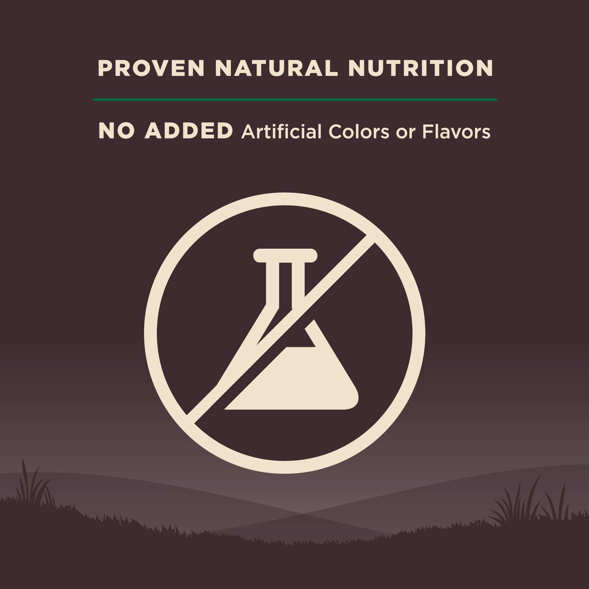 Wellness CORE Grain-Free High-Protein Dry Dog Food for Adult Dogs - Natural Ingredients with Real Lamb, Made in USA - All Breed Sizes (22lb Bag) - Perfect for Active Dogs & Weight Management