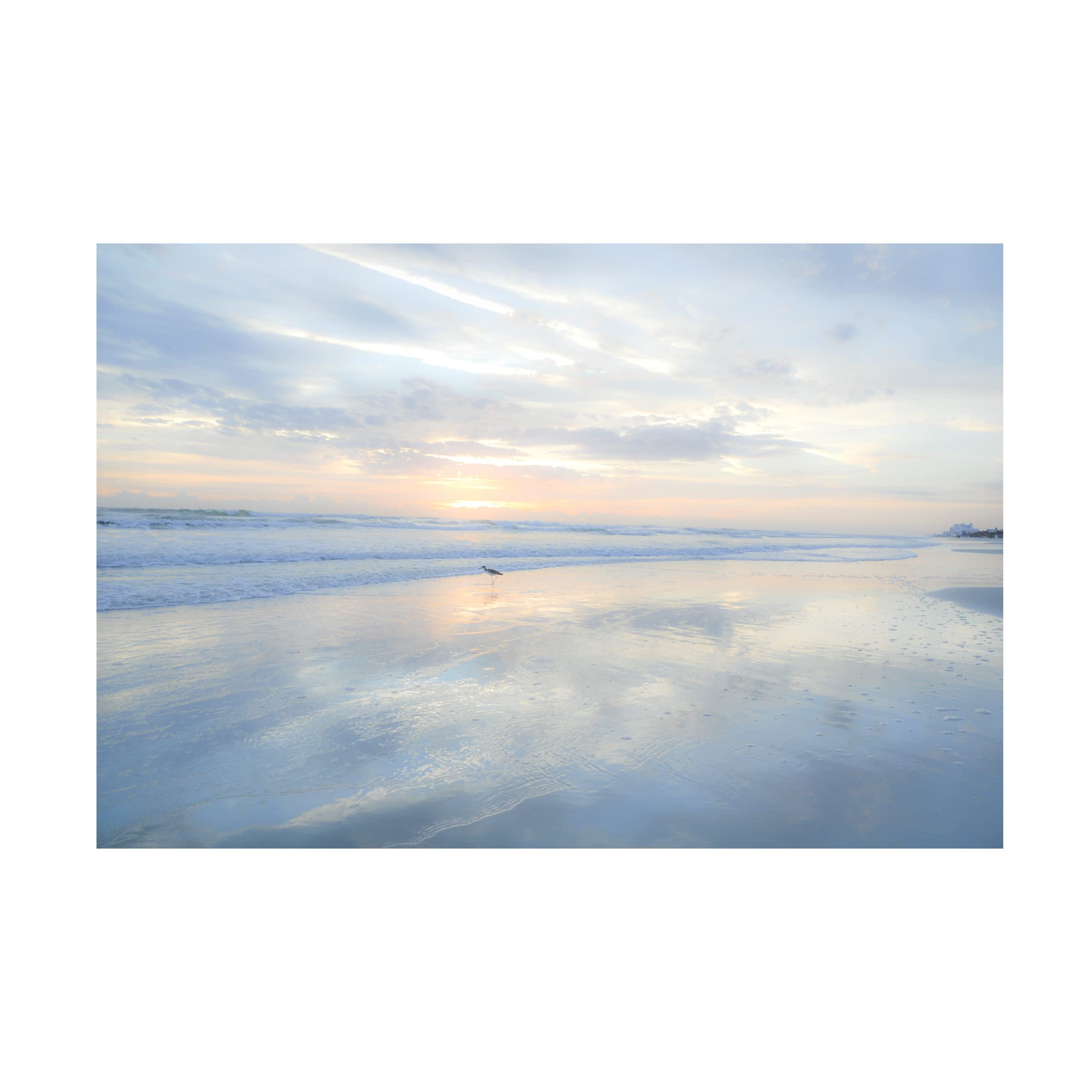 Blue Palomino 'Piper On A Pastel Morning' Canvas Wall Art Print - Modern Home Decor for Living Room, Bedroom & Office - Handmade Floral Landscape Painting