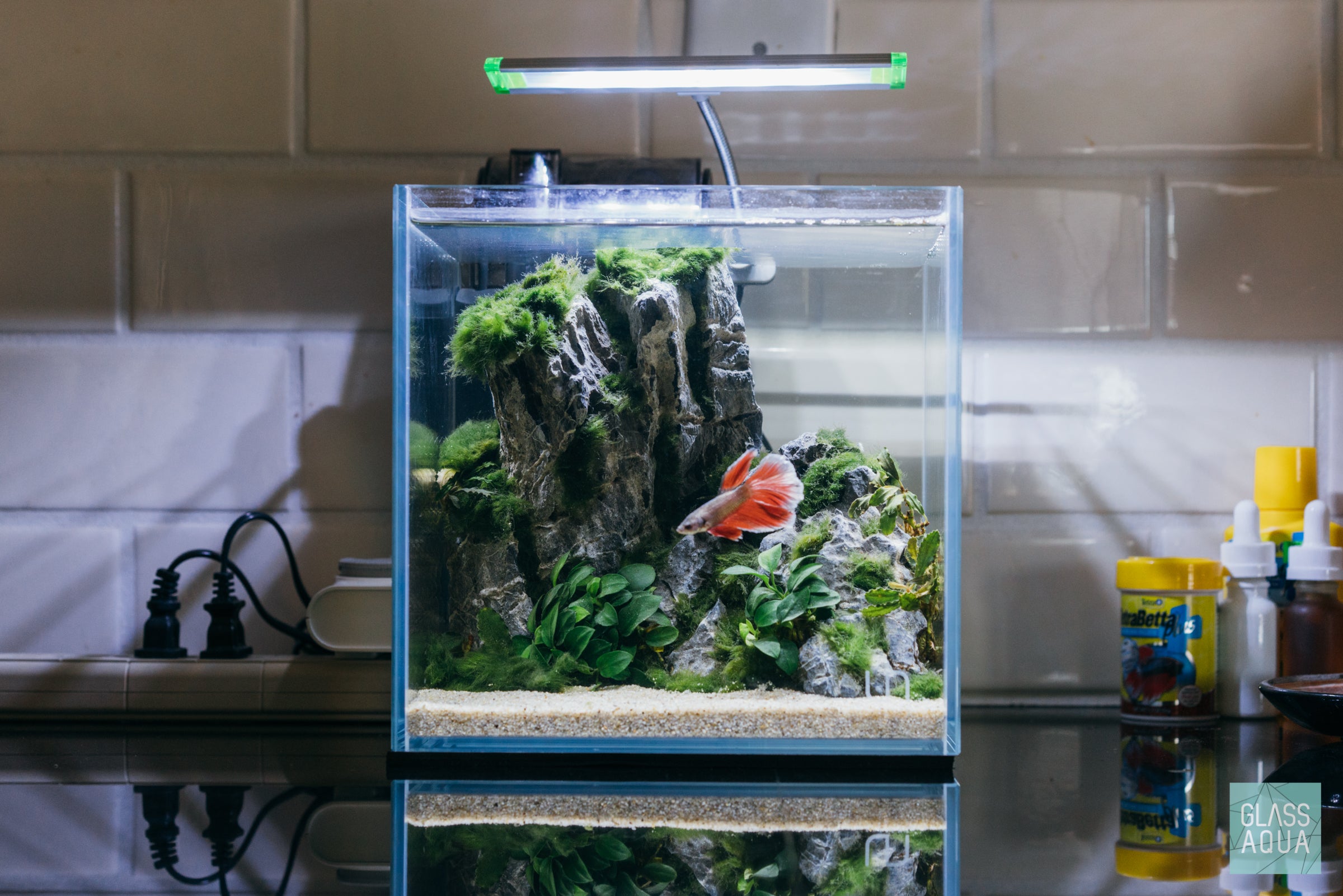 Premium UNS Rimless Cube Glass Aquarium Tank - 5 Gallon Crystal Clear Nano Fish Tank for Betta, Shrimp & Aquatic Plants | Perfect for Home, Office & Classroom Decor