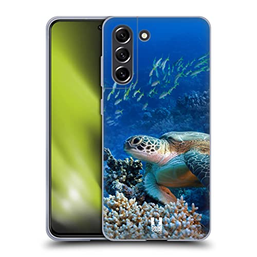 Sea Turtle Sitting On Coral Reef