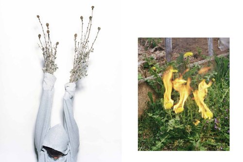 ECAL Photography Book - Bilingual English & French Edition - Perfect for Art Students, Photographers & Collectors