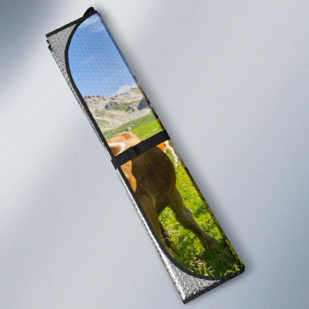 Car Sun Shade for Windshield - Universal Fit 44