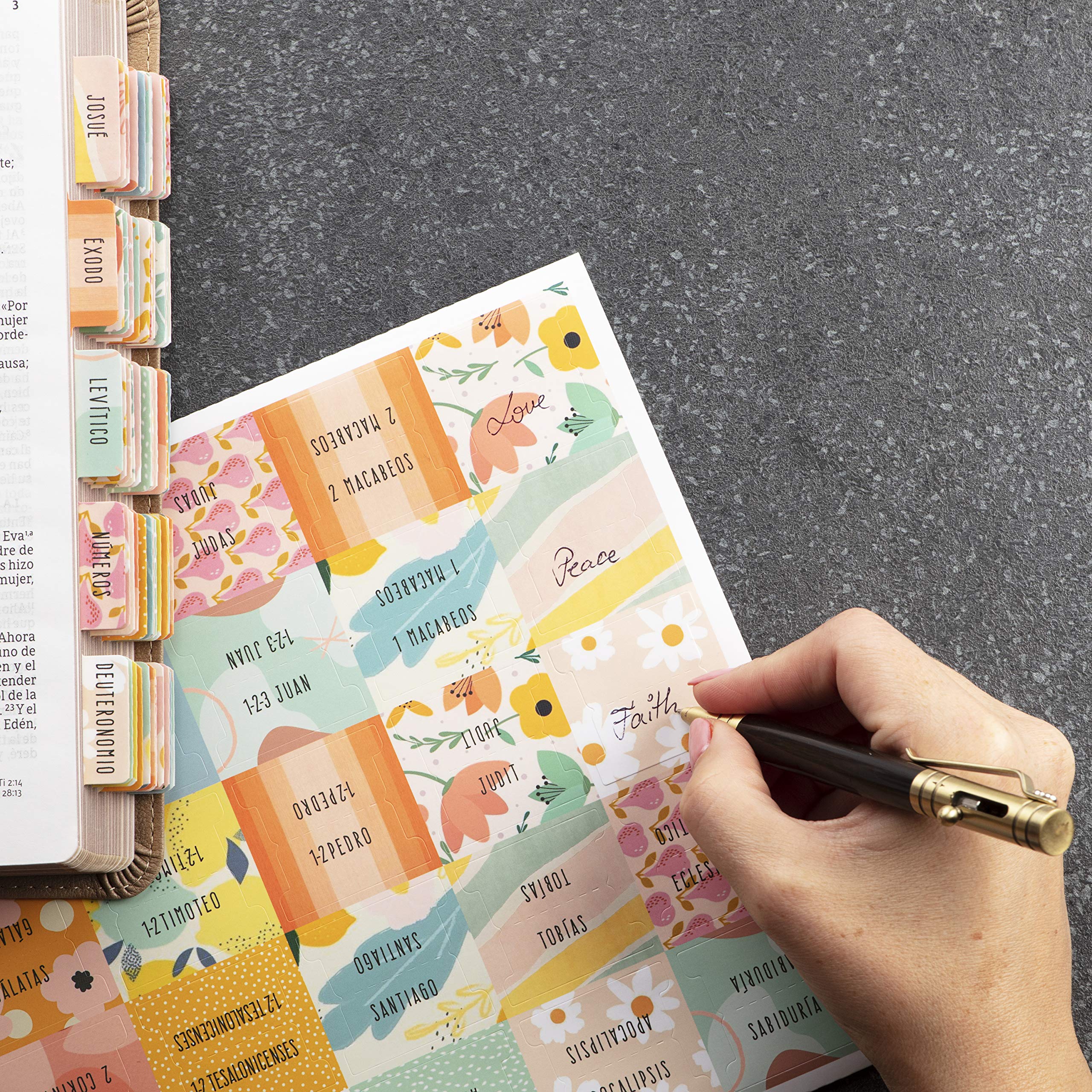 DiverseBee Spanish Bible Tabs - Large Print Easy Read Bible Journaling Supplies, 66 Old & New Testament Tabs with Catholic Books + 9 Blank Tabs, Perfect Christian Gift for Bible Study, Church, and Personal Devotion (Alegria Theme)