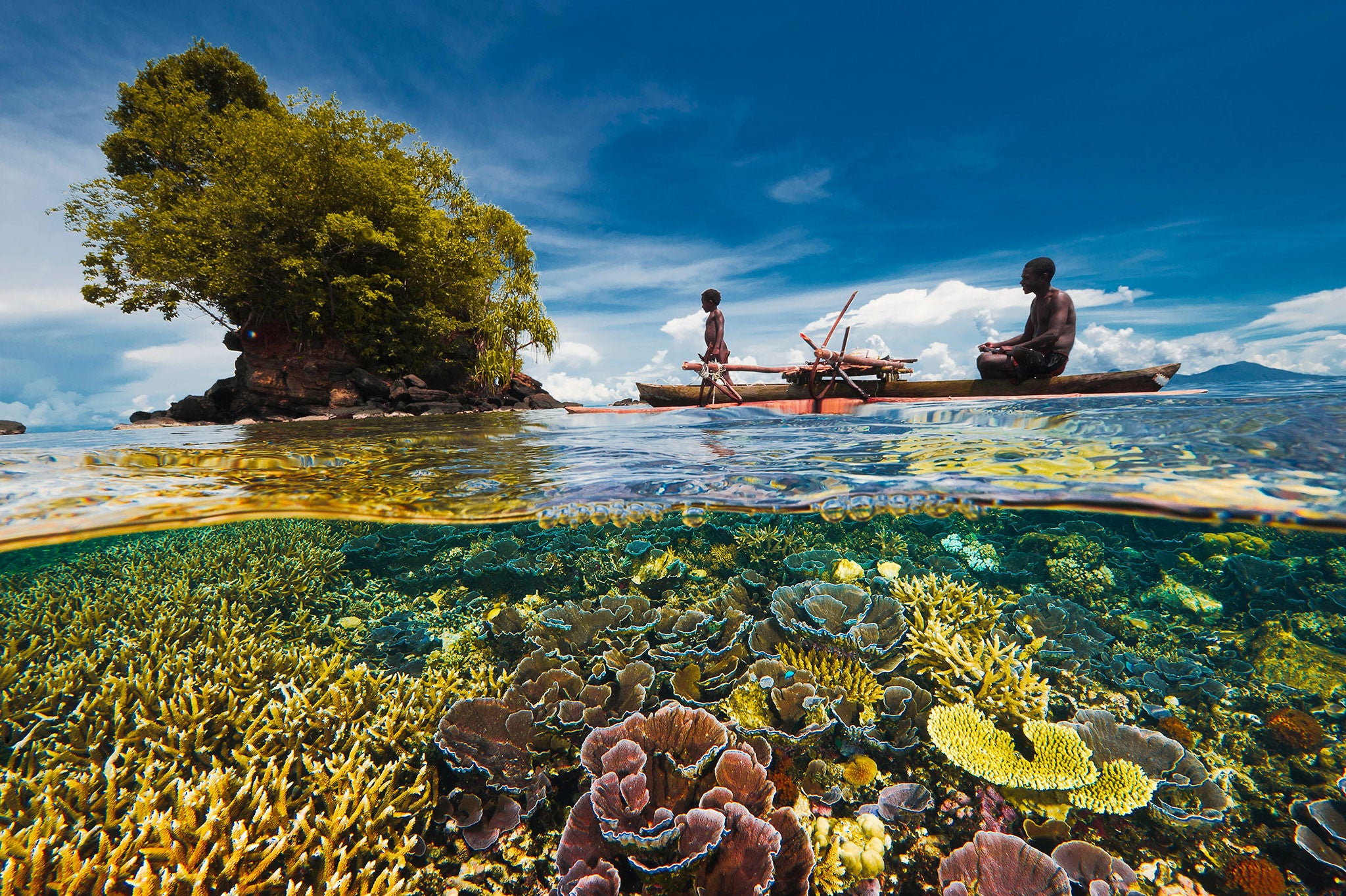 SSI Open Water Scuba Diving Certification Course - Learn to Dive for Beginners & Explore Underwater Adventures