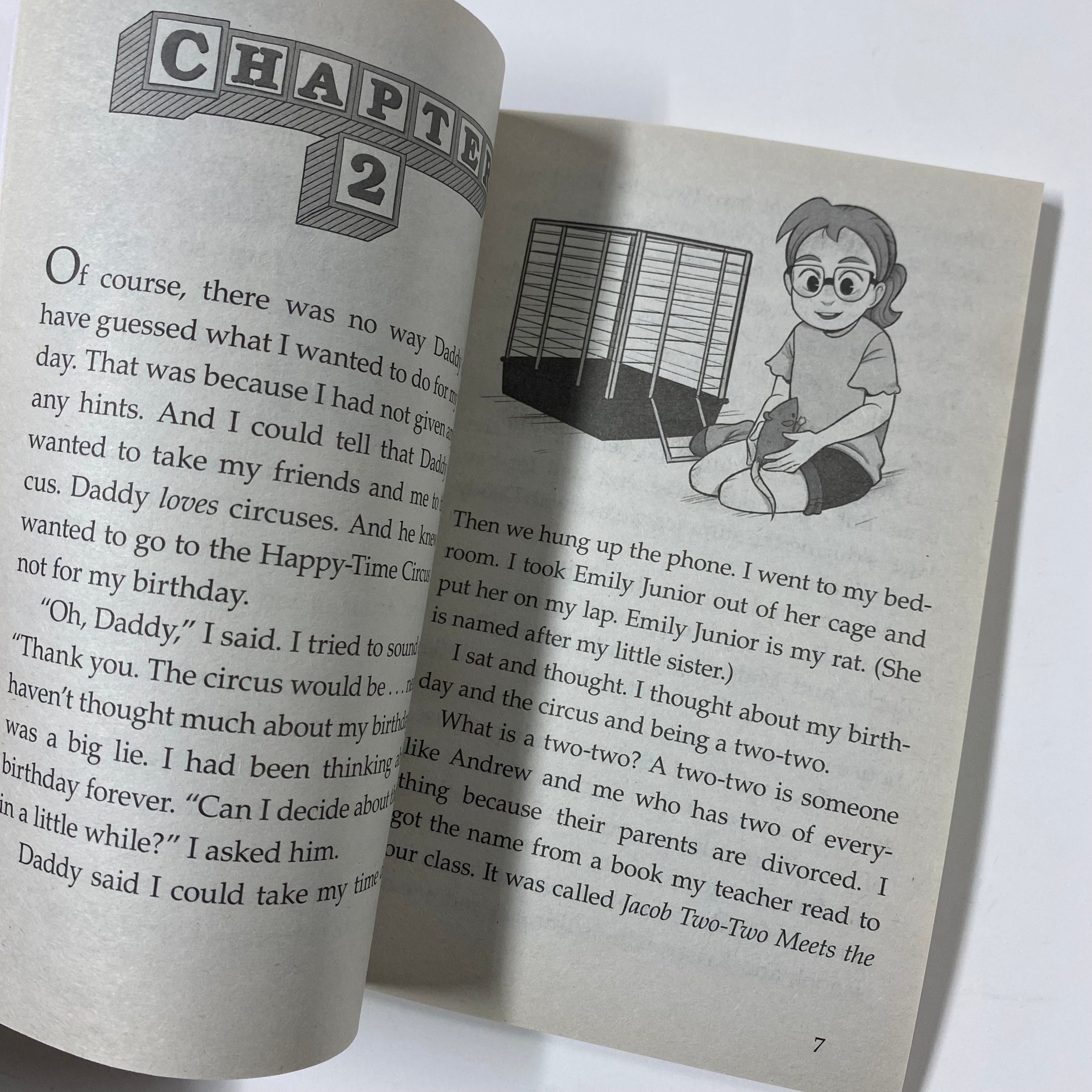 Baby-Sitters Little Sister #7: Karen's Birthday Book - Children's Chapter Book for Ages 6-9 | Perfect for Birthday Gifts & Early Readers