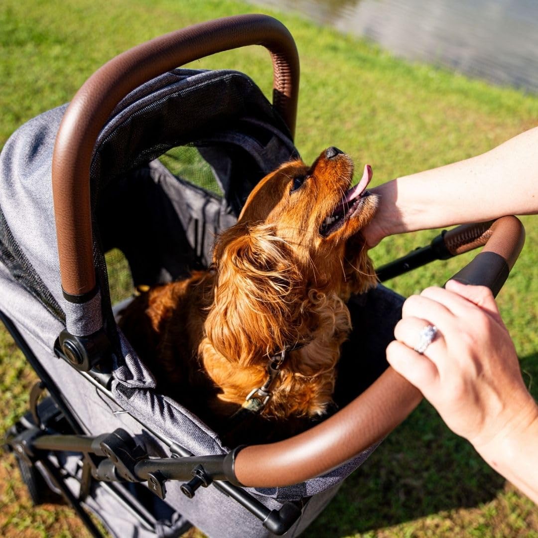 Premium Pet Stroller & Folding Shopping Cart with Lightweight Aluminum Frame - Removable Bassinet, Shopping Bag & Storage for Small to Medium Dogs & Cats (Shadow) - Perfect for Outdoor Walks, Shopping Trips & Vet Visits