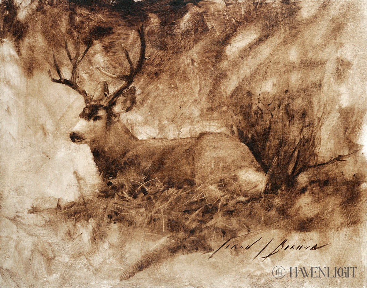 Bedded Buck By Jared Barnes - Premium Hunting & Outdoor Gear for Camping, Hiking & Adventure Enthusiasts