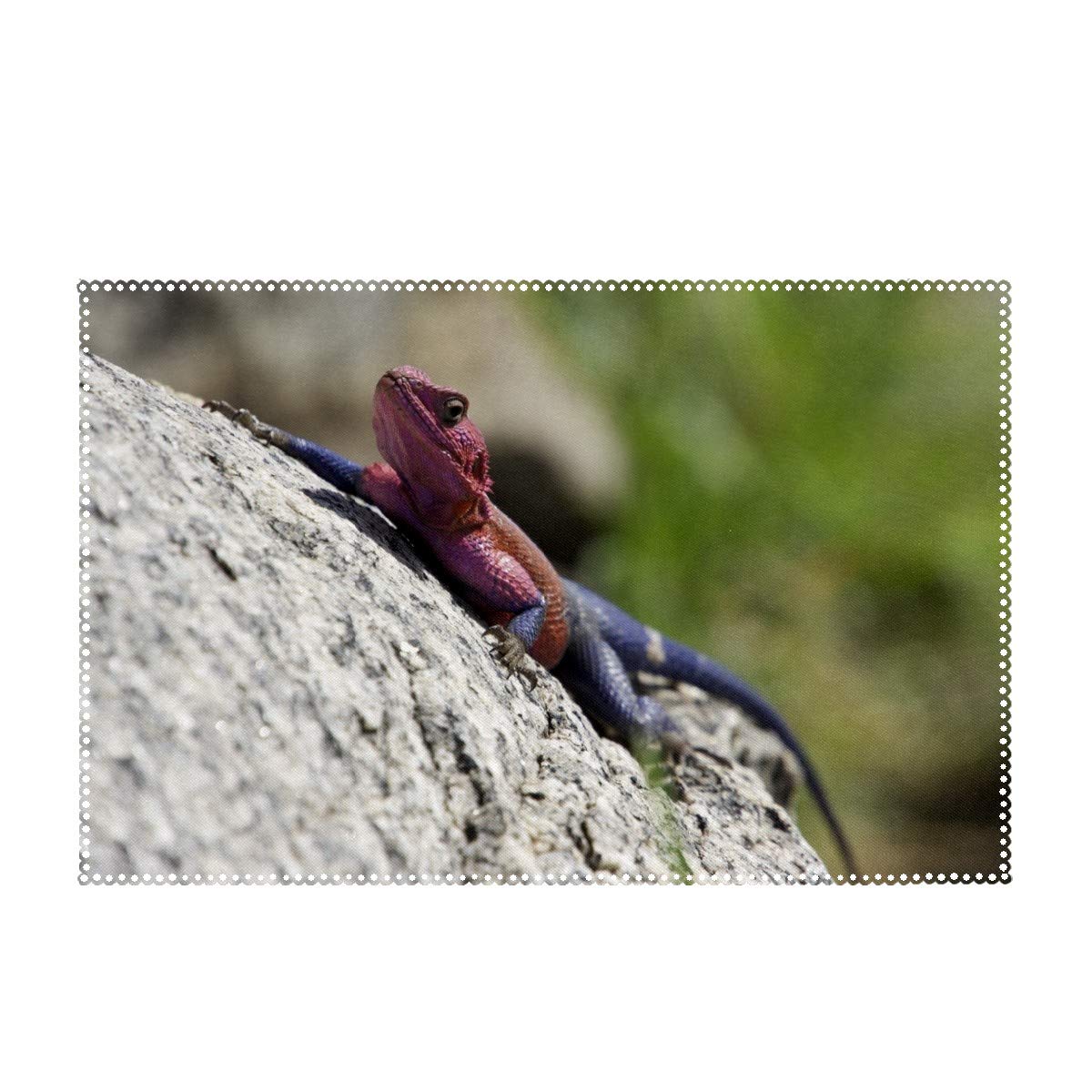 Youran Washable Heat Insulation & Stain Resistant Placemats - Durable Kitchen Table Mats for Dining, Lizard Climbing Rock Design - Perfect for Everyday Meals, Dinner Parties & Reptile Habitats (1pc)