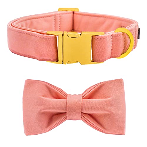 suit-candy pink