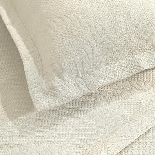 Ivory 02