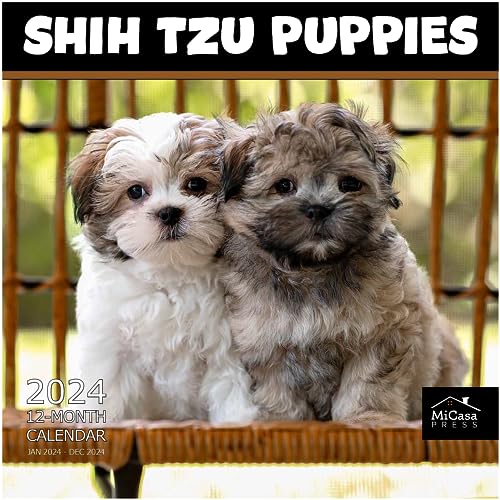 15 - Shih Tzu Puppies