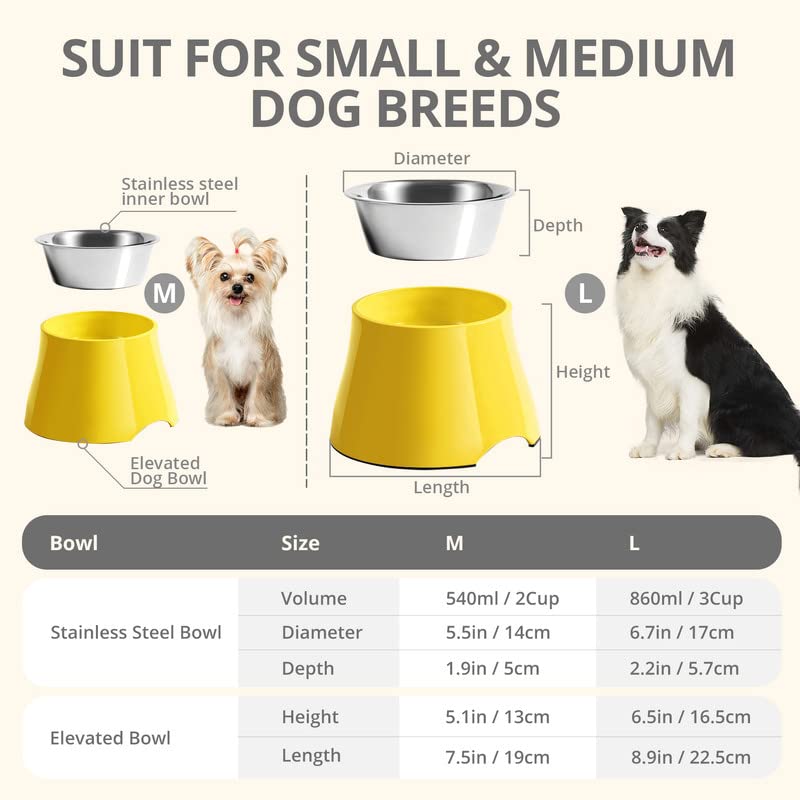 Elevated Dog Bowls for Small & Medium Dogs - Non-Slip Raised Feeder with Stainless Steel Bowl, High Capacity Pet Food Dish - Prevents Neck Strain & Improves Digestion - Perfect for Home, Kitchen, or Outdoor Use