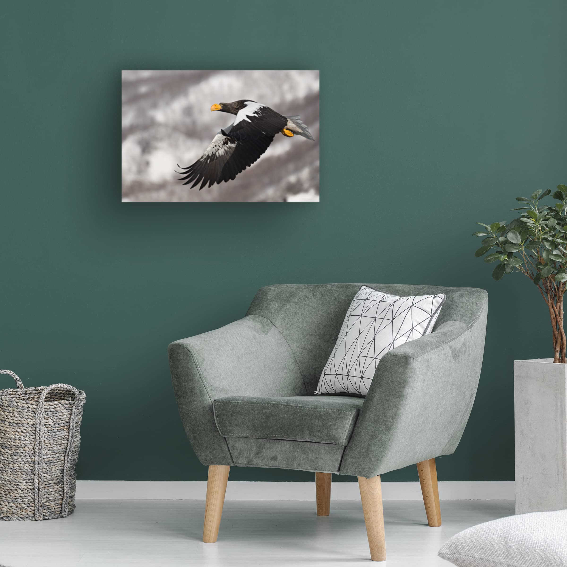 Trademark Fine Art 'Stellar's Sea Eagle' Canvas Wall Art Print by C.S. Tjandra - Majestic Wildlife Decor for Living Room, Office & Bedroom