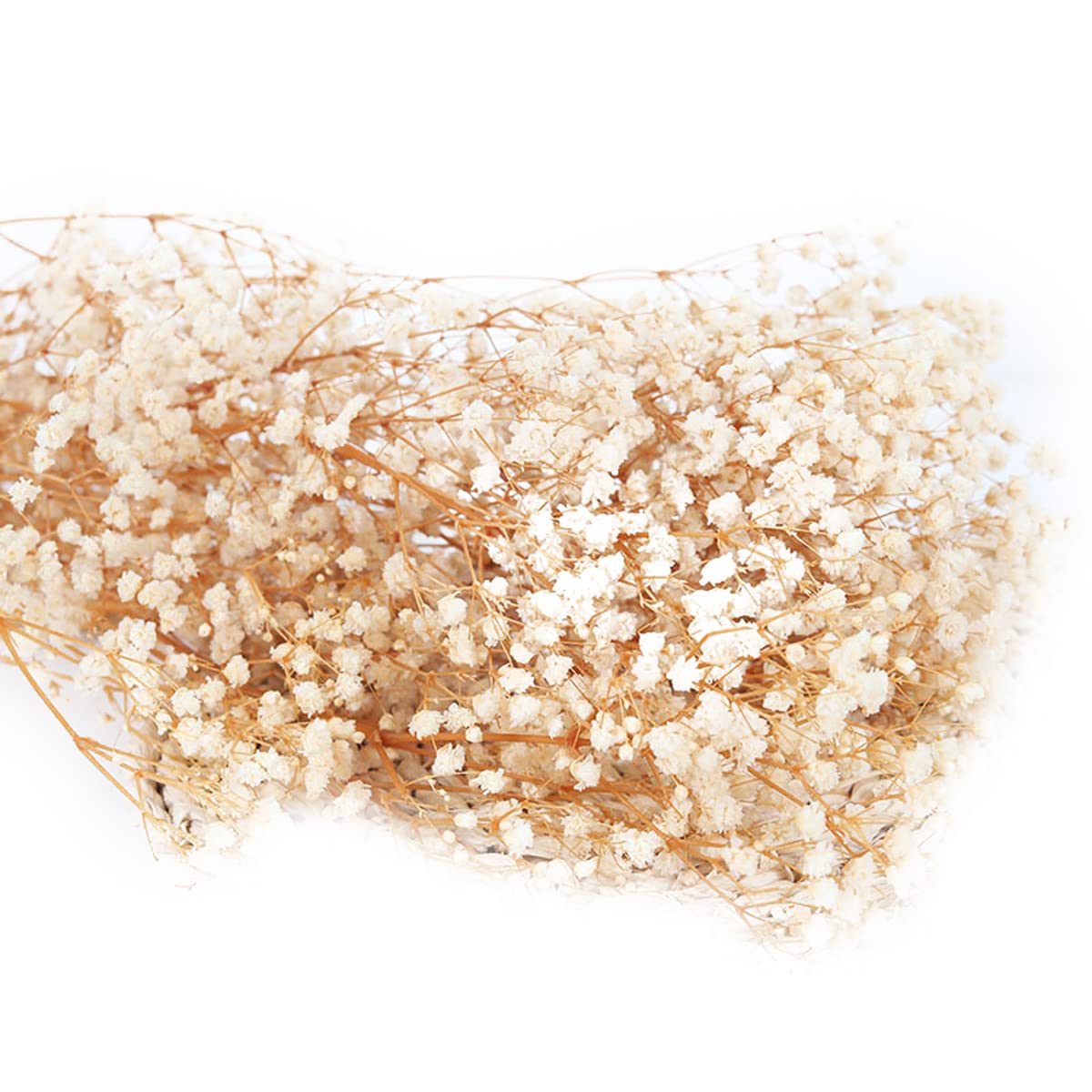 80g Dried Gypsophila Bouquet - Natural White Baby's Breath Flowers for Wedding Decor, Home Decoration, DIY Crafts, Headdress & Wreath Making - Perfect for Centerpieces, Bridal Bouquets, and Rustic Wedding Themes
