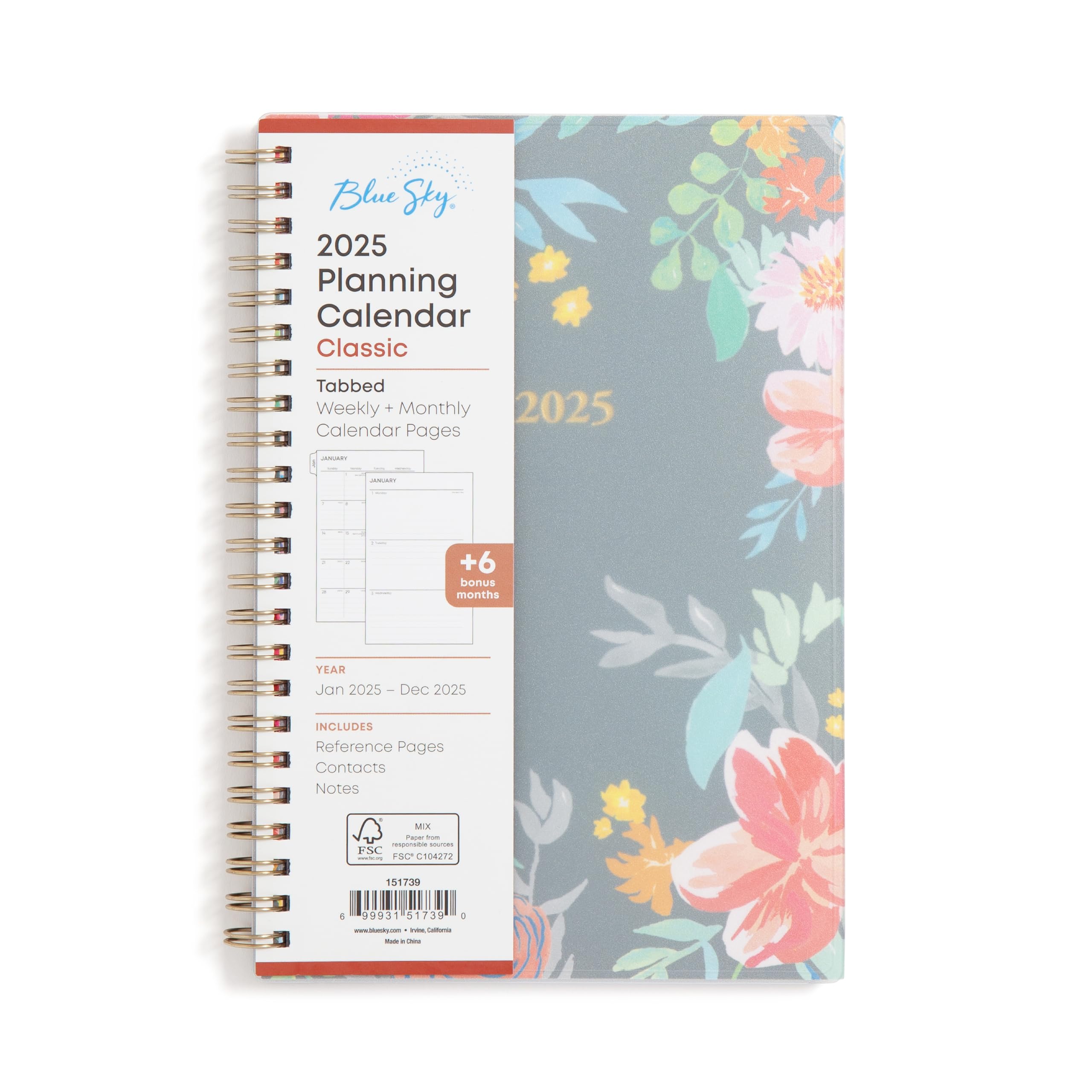 Blue Sky 2025 Weekly & Monthly Planner Calendar | Jan 2025-Dec 2025 | 5