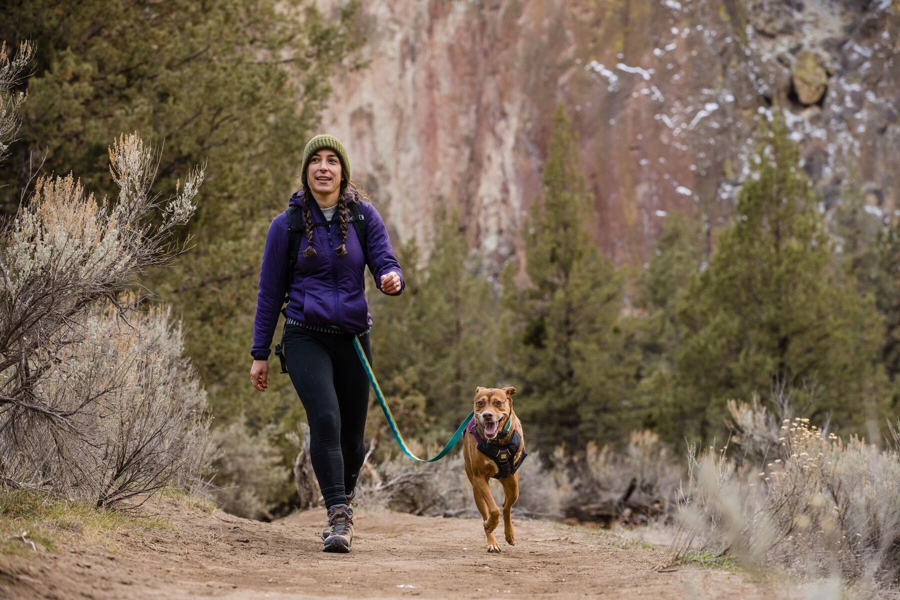 Ruffwear Web Master Harness® - Adjustable Multi-Use Dog Harness with Handle in Red Sumac for Hiking, Running & Outdoor Adventures