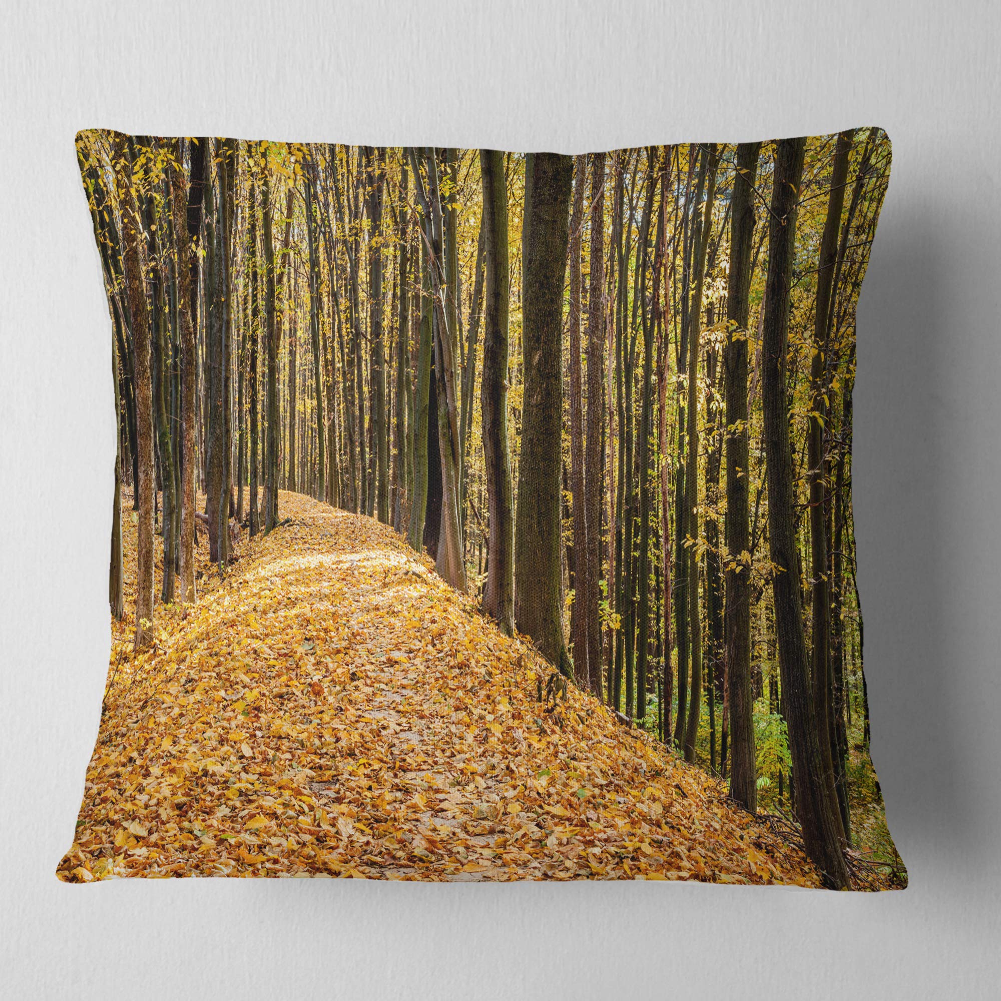 DesignQ CU13949 Soft Green Decorative Throw Pillow Cushion 18x18 Inches - Perfect for Sofa, Bed, Living Room & Home Decor