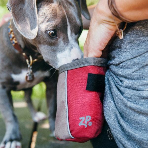 ZippyPaws Adventure Forest Green Dog Treats Bag - Durable & Leak-Proof for Hiking, Camping & Outdoor Adventures with Your Pet (10% OFF)