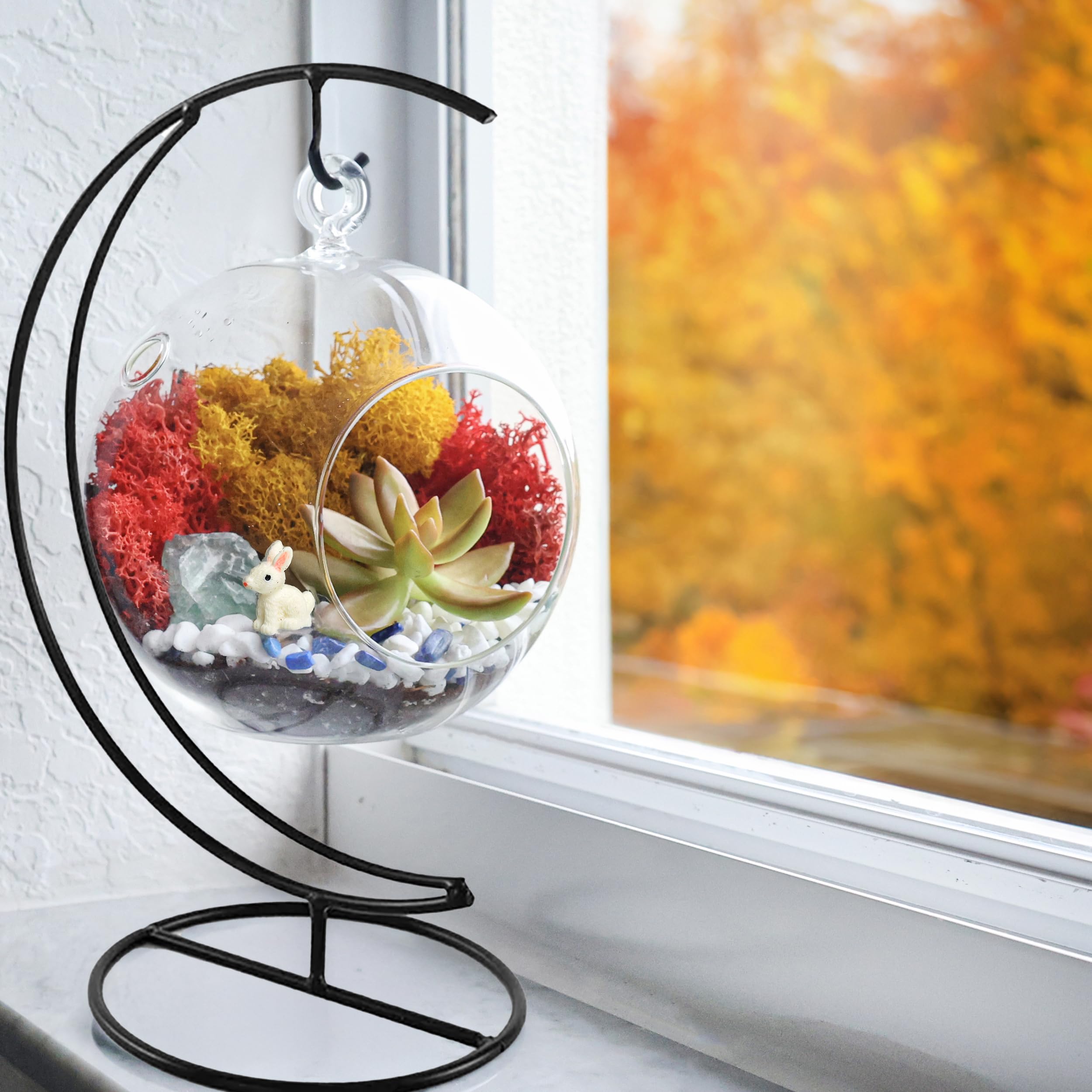 DIY Terrarium Kit for Adults & Kids - Complete Glass Hanging Planter with Stand, Moss, Crystals, Rocks & Mini Tools - Creative Home Decor & Educational STEM Gift for Plant Lovers (Perfect for Indoor Gardening, Office Desk Decor & Classroom Science Projects)