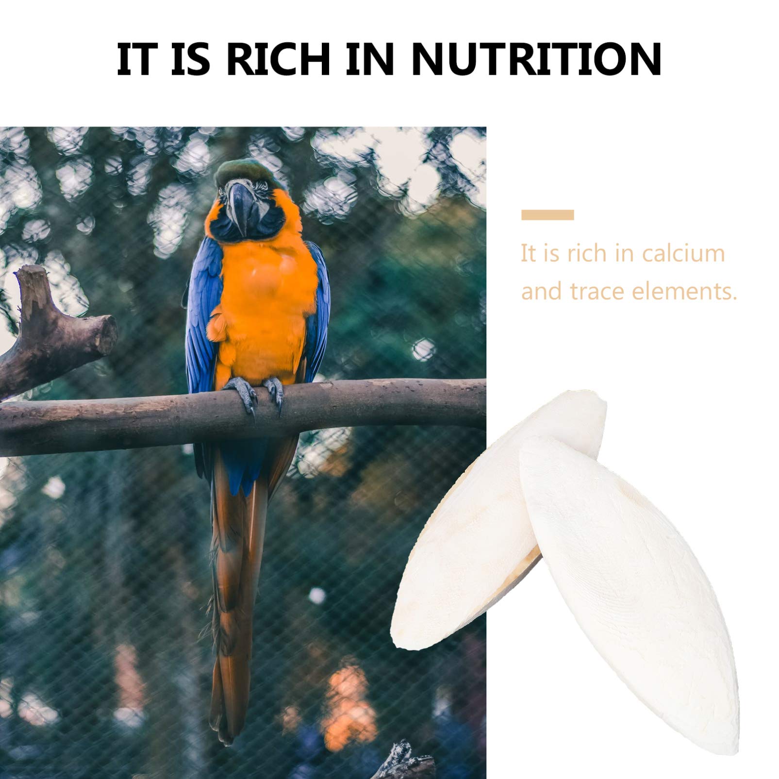 POPETPOP 12-Piece Bird Cuttle Bone Beak Grinder - Natural Parrot Chew Toy for Beak Trimming, Calcium Supplement & Pet Training | Size Variations | Perfect for Cage Enrichment & Bird Dental Care