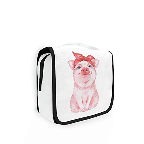 Cute Pig