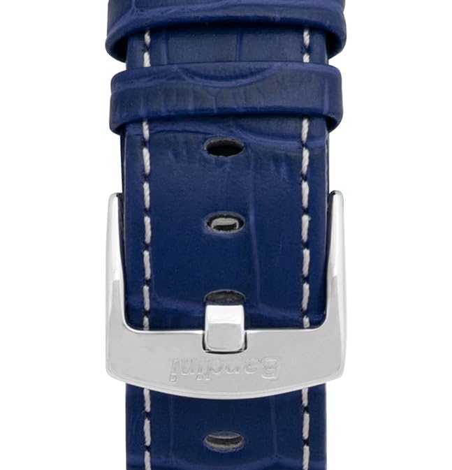 3 - Blue and White / Silver Buckle