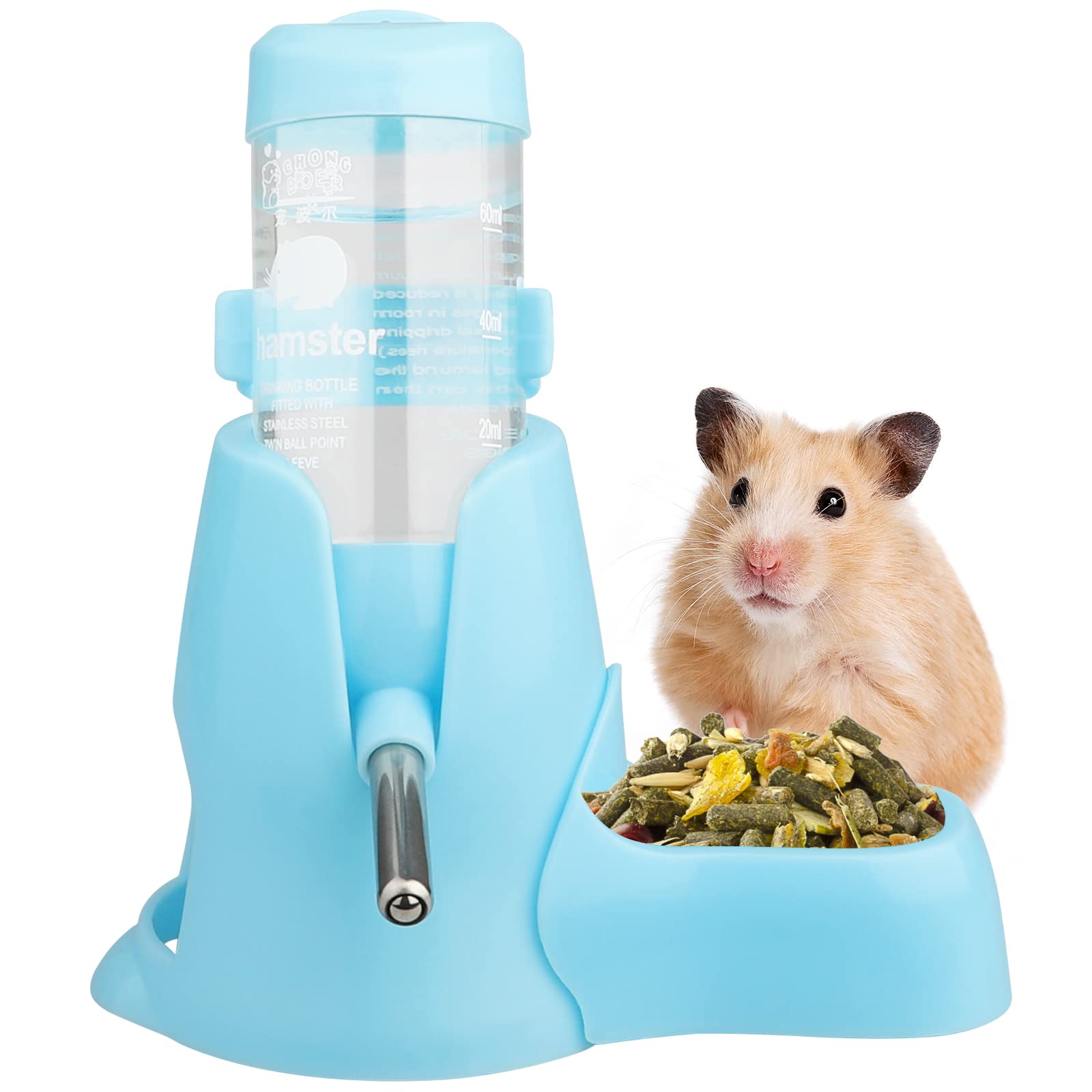A Thirst for Adventure: The Tale of Whiskers and the Magic Bottle