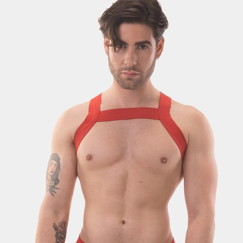 Barcode Berlin Matt Harness Red - Durable Dog Harness for Small & Medium Dogs - Perfect for Walking, Running & Outdoor Adventures
