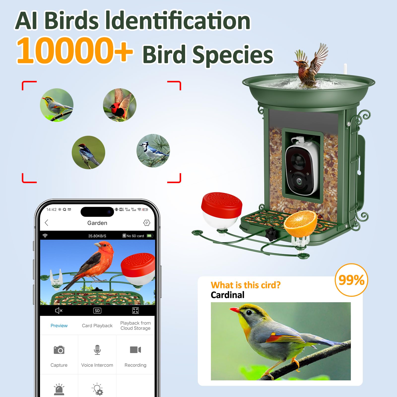 Smart Bird Feeder with 2K HD Camera - AI-Powered Bird Identification for 11,000+ Species | Live Video Streaming & Outdoor Wildlife Watching | Perfect Gift for Bird Lovers & Nature Enthusiasts (Use in Backyards, Gardens & Nature Exploration)