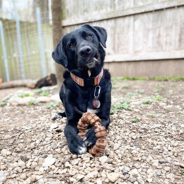 Nylabone Power Chew Textured Dog Ring Toy - Durable Chew Toy for Aggressive Chewers - Interactive Play for Large & Medium Dogs - Perfect for Teething Puppies & Dental Health - Indoor & Outdoor Use