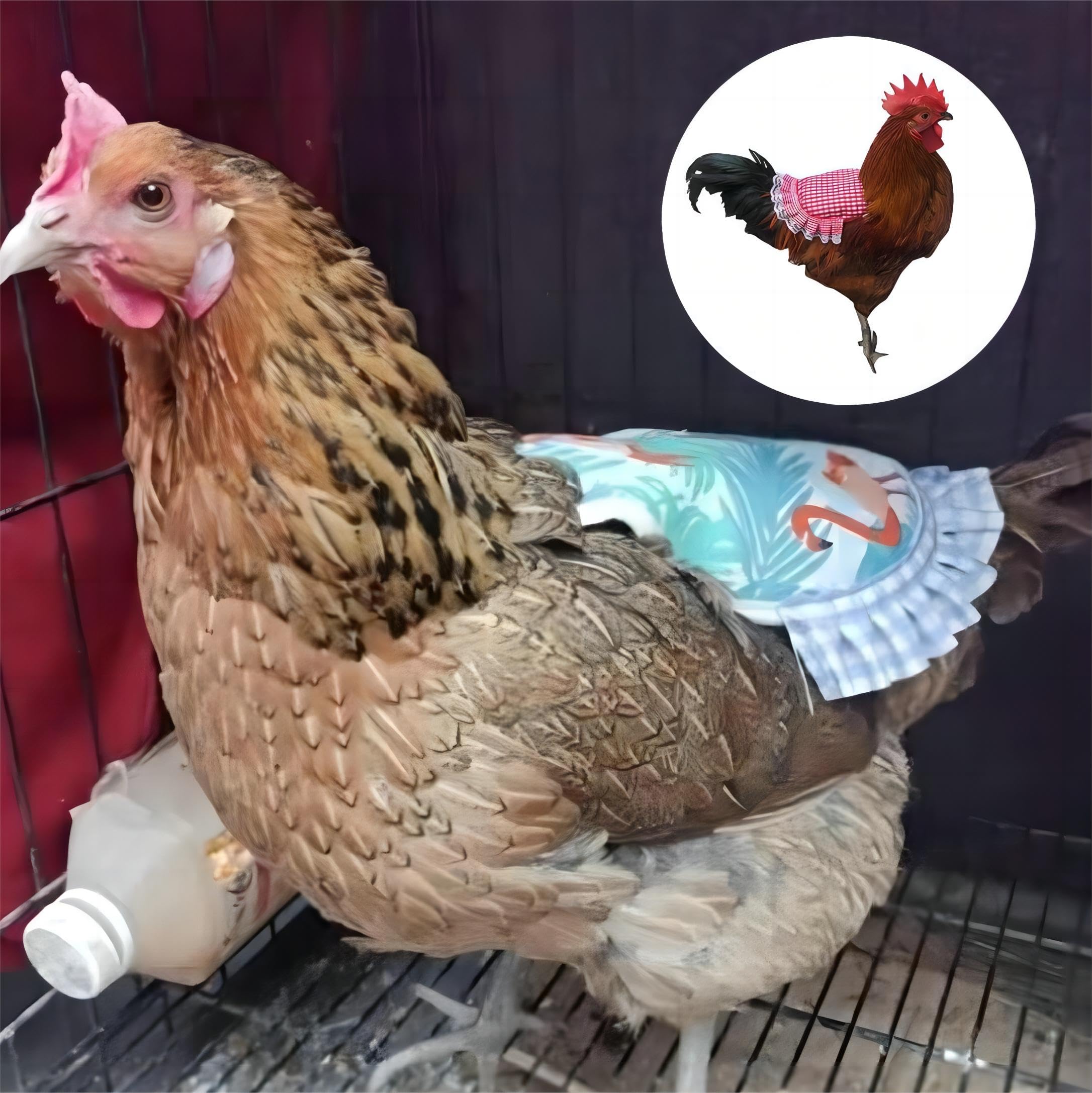 6pcs Chicken Saddles for Hens - Protective Hen Apron, Poultry Saver Vest, Chicken Protector Clothes for Backyard Flock (Ideal for Preventing Feather Loss & Pecking Injuries) - Perfect for Free-Range Chickens, Small Farms & Backyard Coops