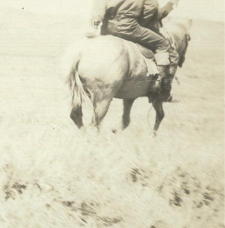 The Hired Hand by Bruce Langhorne - Classic Western Soundtrack CD | Perfect for Movie Lovers & Western Film Enthusiasts