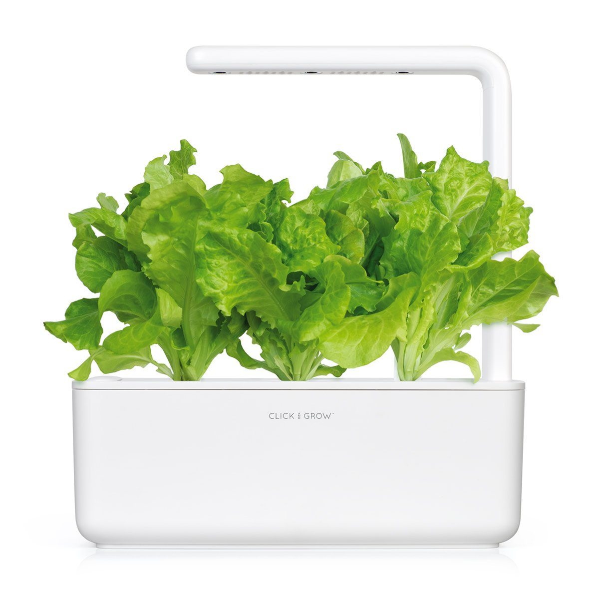Click and Grow Green Lettuce 3-Pack Plant Pods for Smart Garden - Fresh Indoor Salad Greens Kit for Home Gardening - Perfect for Kitchen Countertops, Office Desks & Urban Farming