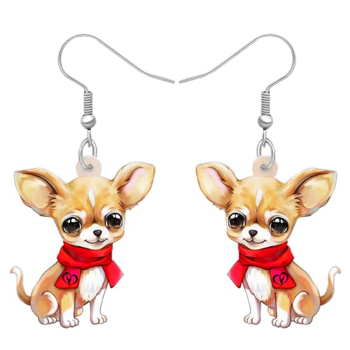 Chihuahua D