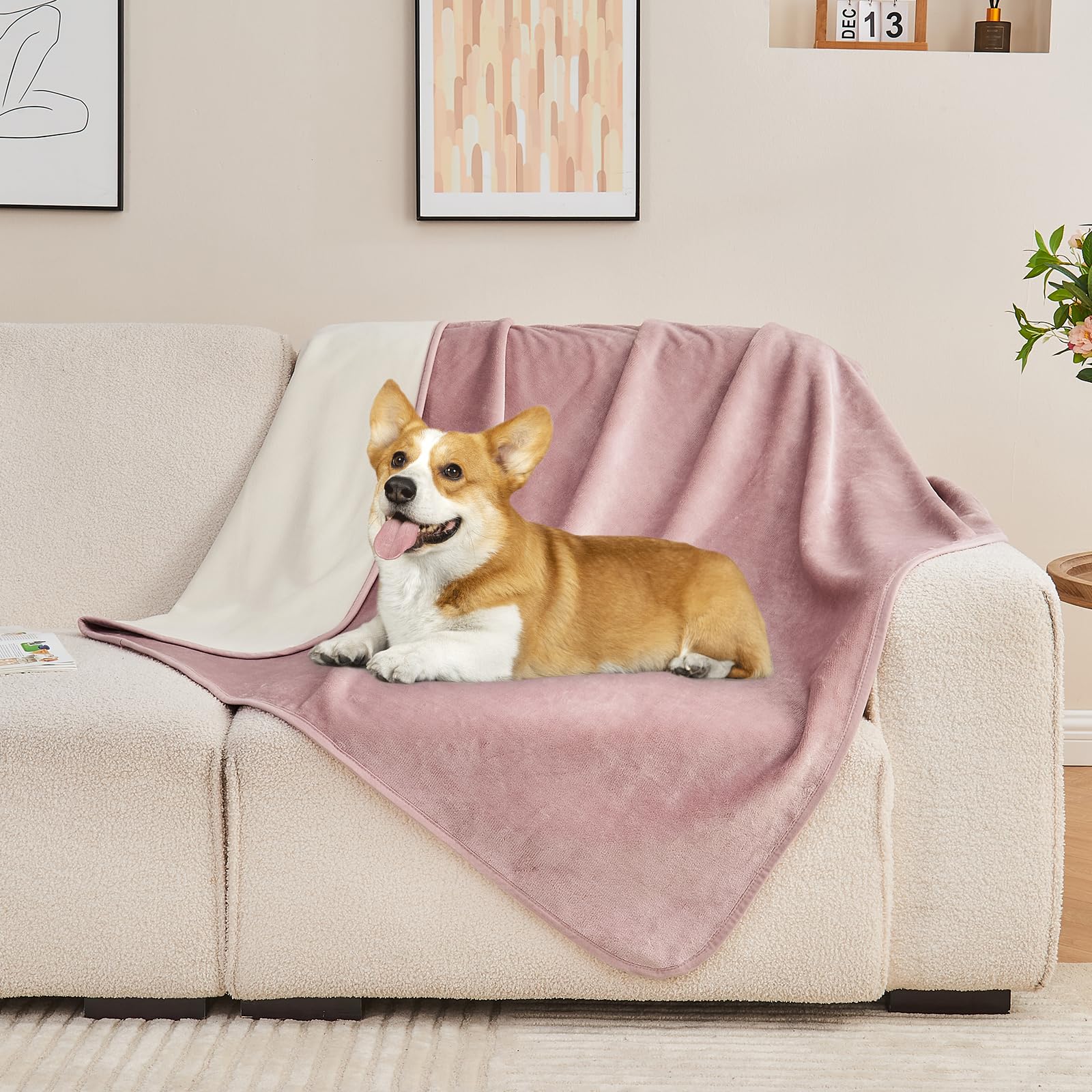 Waterproof Blanket 60
