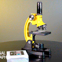 National Geographic 300x-1200x Kids Microscope Set with Hard Case - STEM Educational Toy for Children, Home School & Science Classroom Use