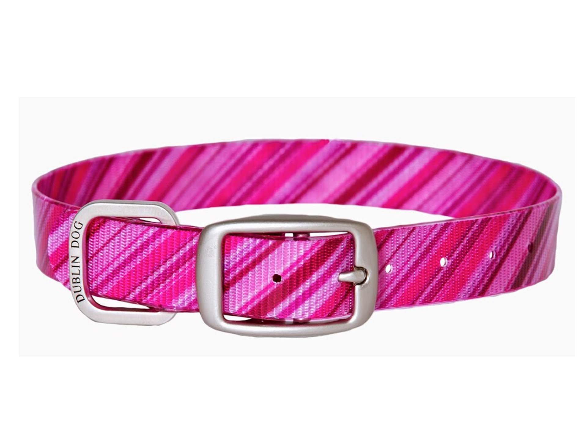 Dublin Dog Koa Collection Oxford 12.5 by 17-Inch Medium Dog Collar - Apple Orchard Pattern - Perfect for Daily Walks, Training & Outdoor Adventures