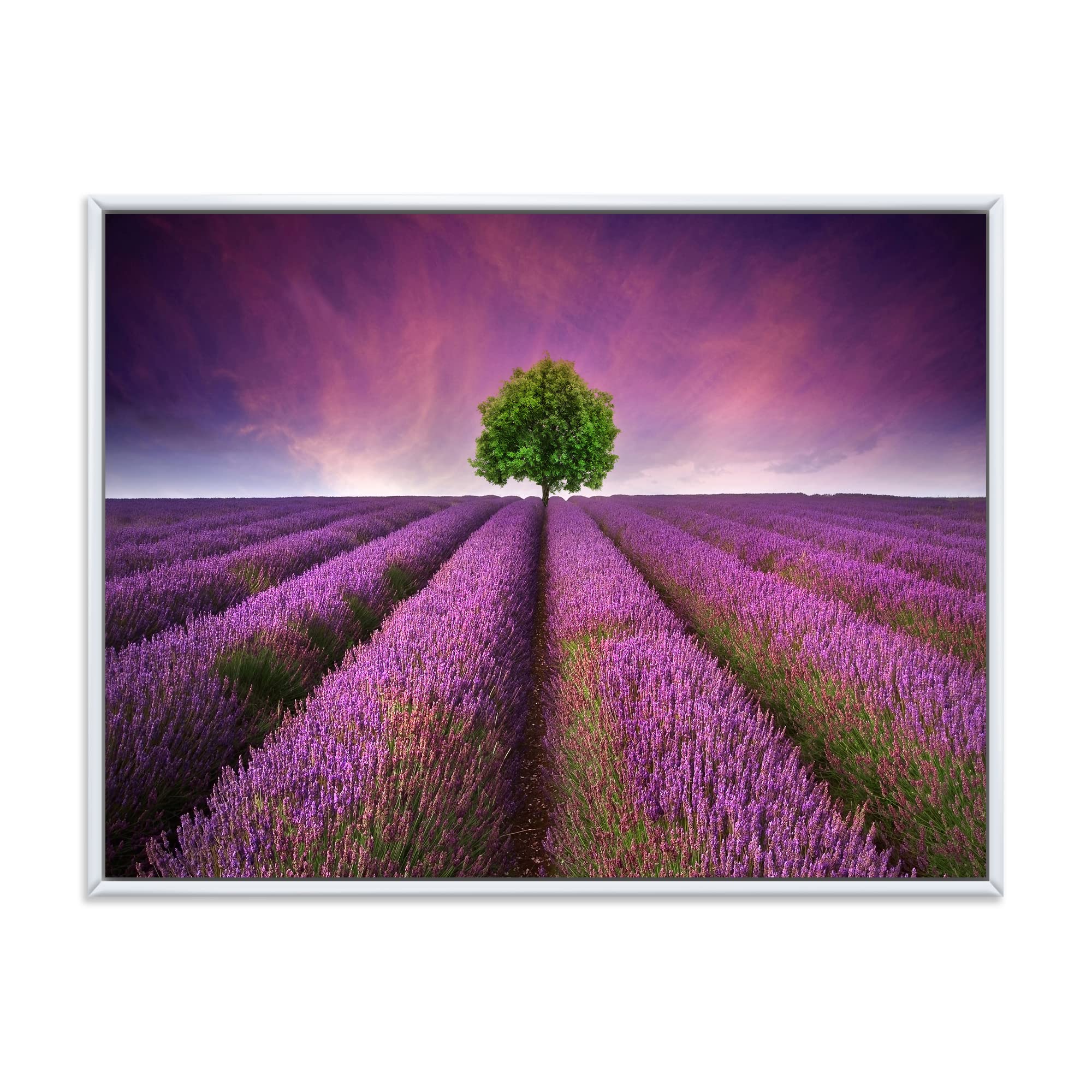 DesignQ Stunning Lavender Field Summer Sunset With Tree - Farmhouse Framed Canvas Wall Art Print for Living Room, Bedroom & Office Decor | Nature Landscape Painting Home Decoration