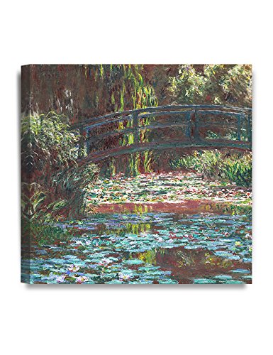 Water Lily Pond