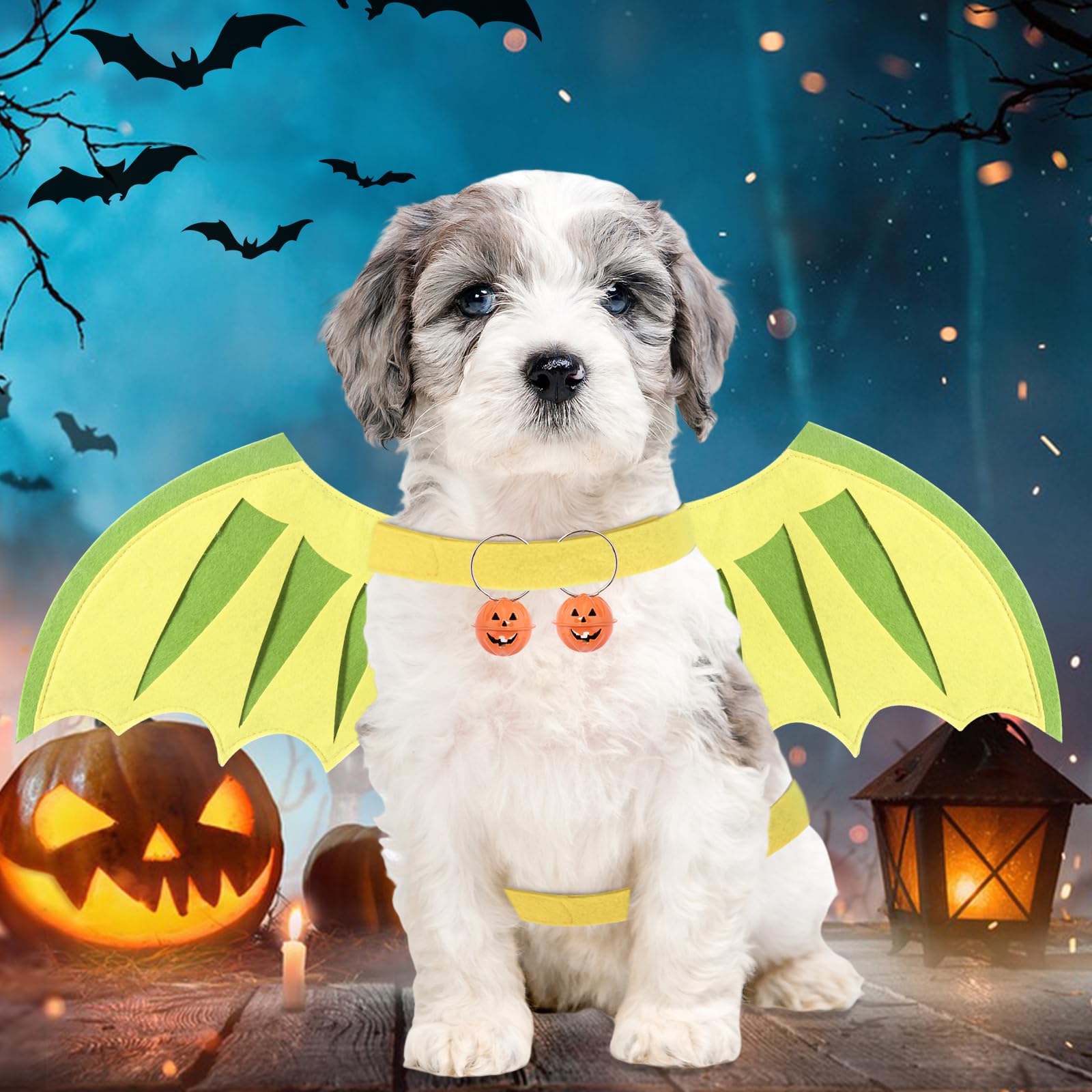 Halloween Dog Wings Costume - Dragon & Dinosaur Wings for Small Medium Large Dogs | Pumpkin Bells Pet Costume Accessories for Christmas, Birthday Parties & Cosplay Events