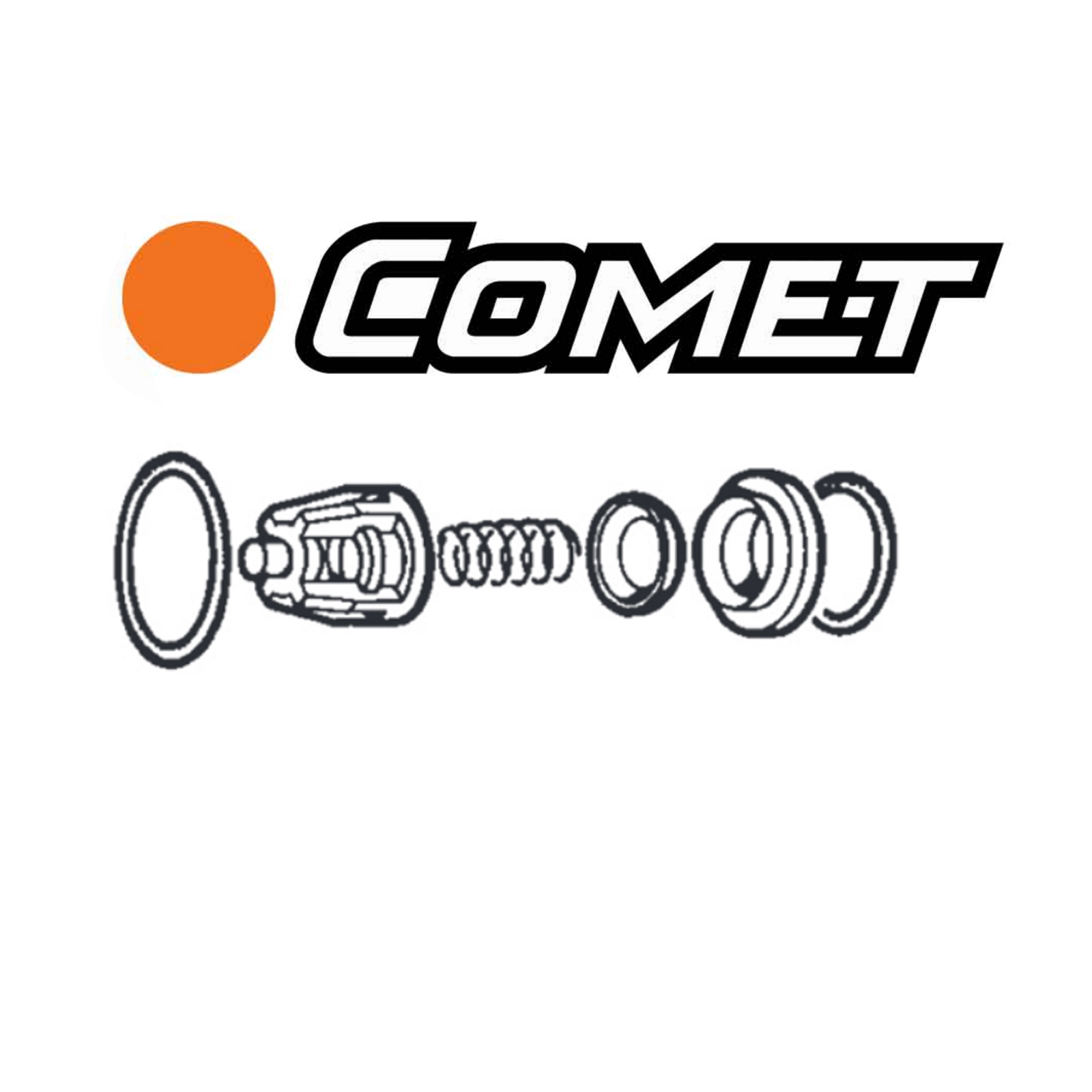 Comet Pump Check Valve Repair Kit - Replacement Parts for Water Pumps, Irrigation Systems & Pool Equipment - Fix Leaks & Improve Water Flow Efficiency